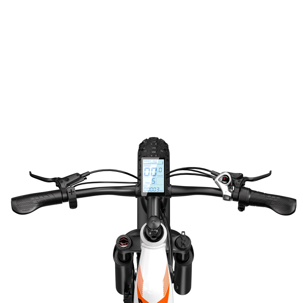 Shengmilo MX06 E-bike
